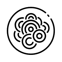 Pasta | Happy Hour Drinks & Specials