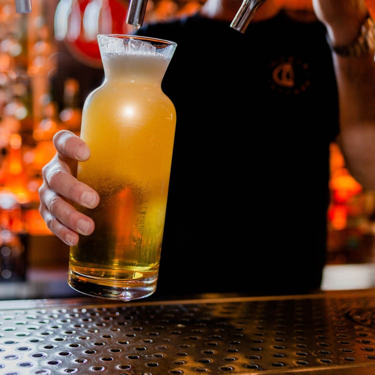 $15 Pilsner Jug | Happy Hour Drinks & Specials